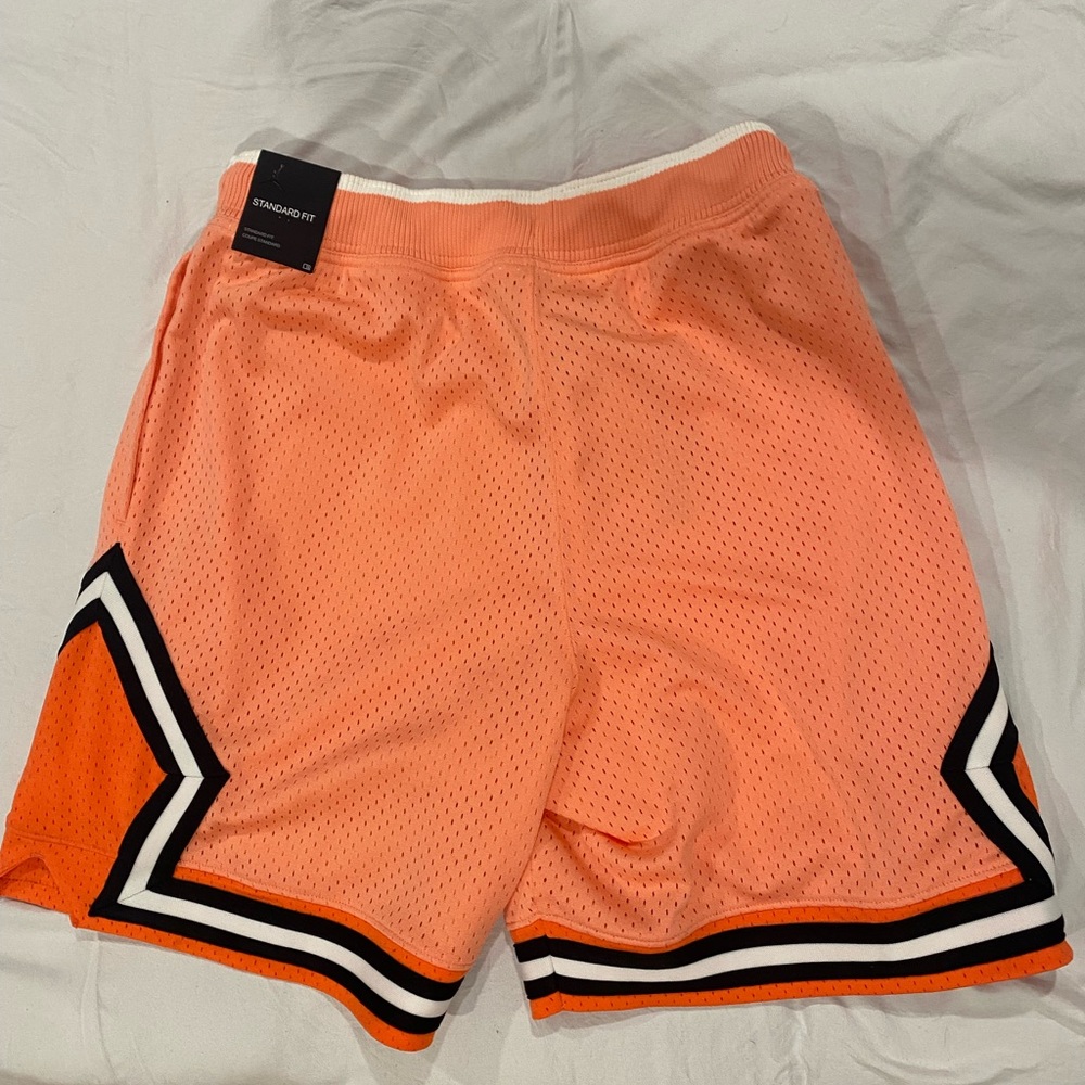 Brand New Jordan basketball shorts